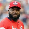 David Ortiz