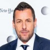 Adam Sandler profile picture