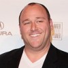 Will Sasso